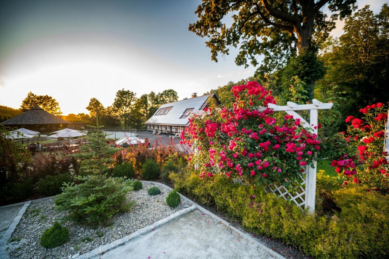 Apartahotel Nowa Prowansja Jelenia Góra